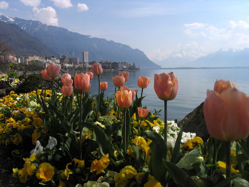 Frühling in Montreux