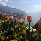 Frühling in Montreux