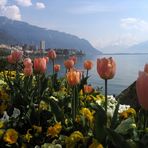 Frühling in Montreux