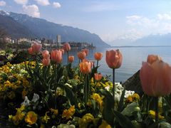 Frühling in Montreux