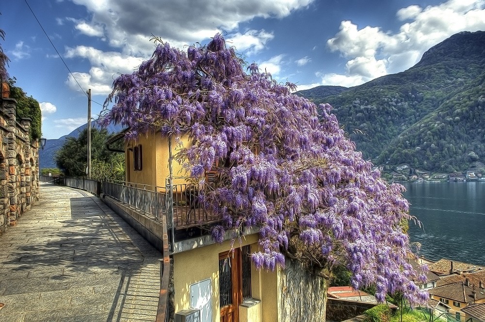 Frühling in Morcote