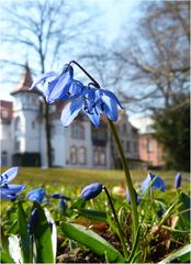 Frühling in Mühlhausen