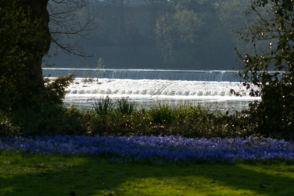 Frühling in Mühlheim a.d.Ruhr