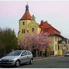 Frühling in Münchberg