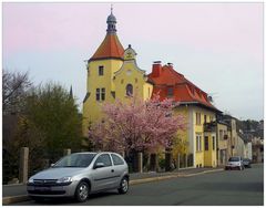 Frühling in Münchberg