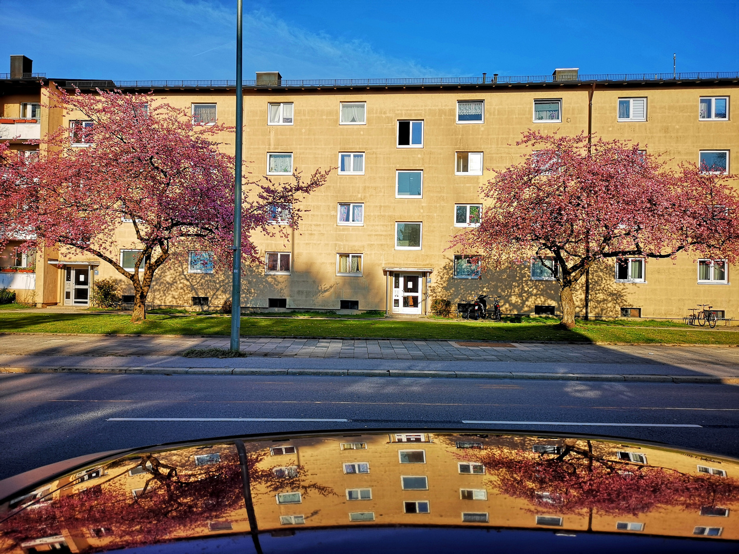 Frühling in München