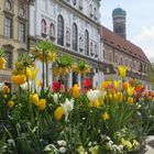 Frühling in München