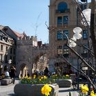 Frühling in München