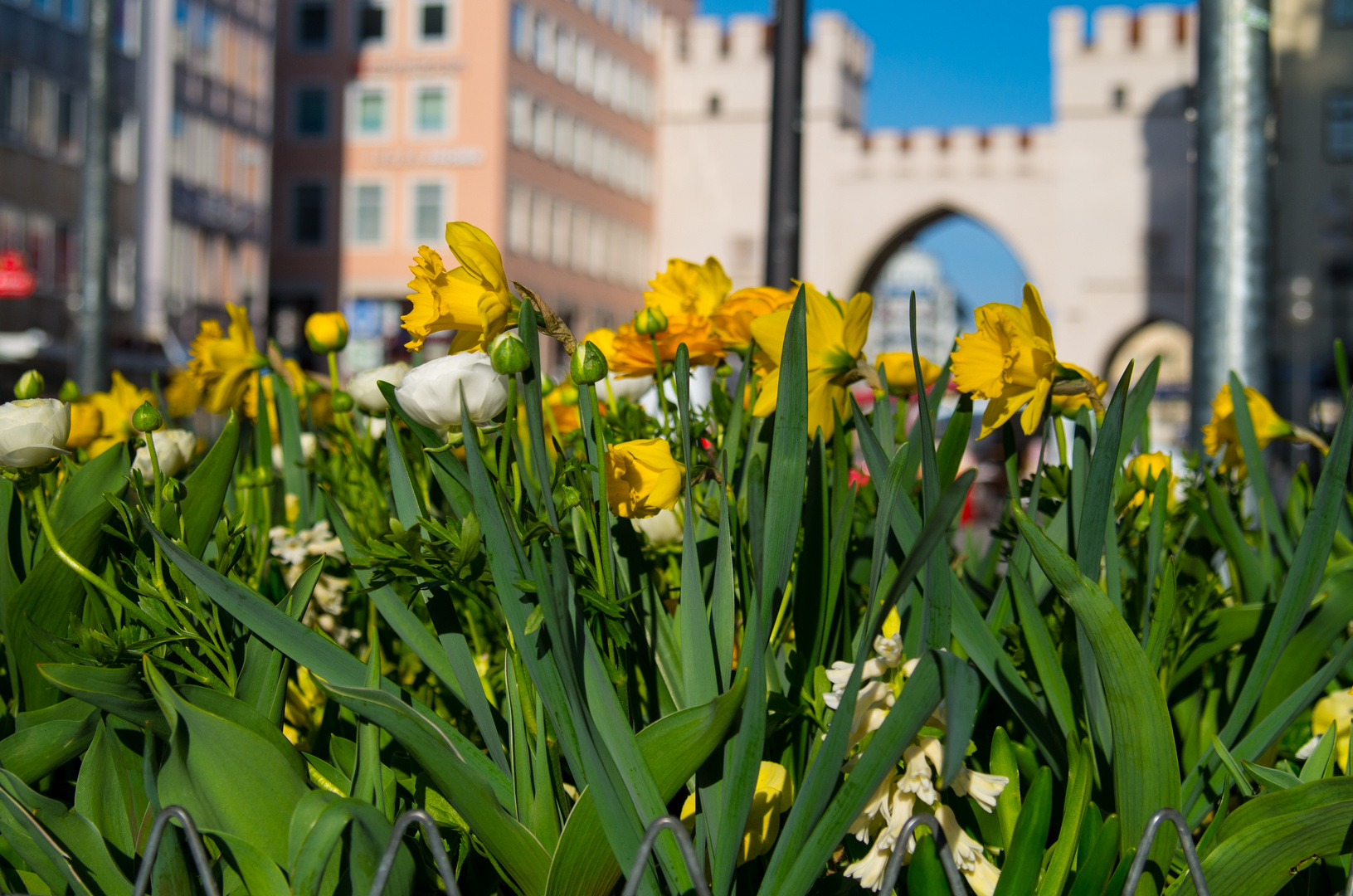 Frühling in München