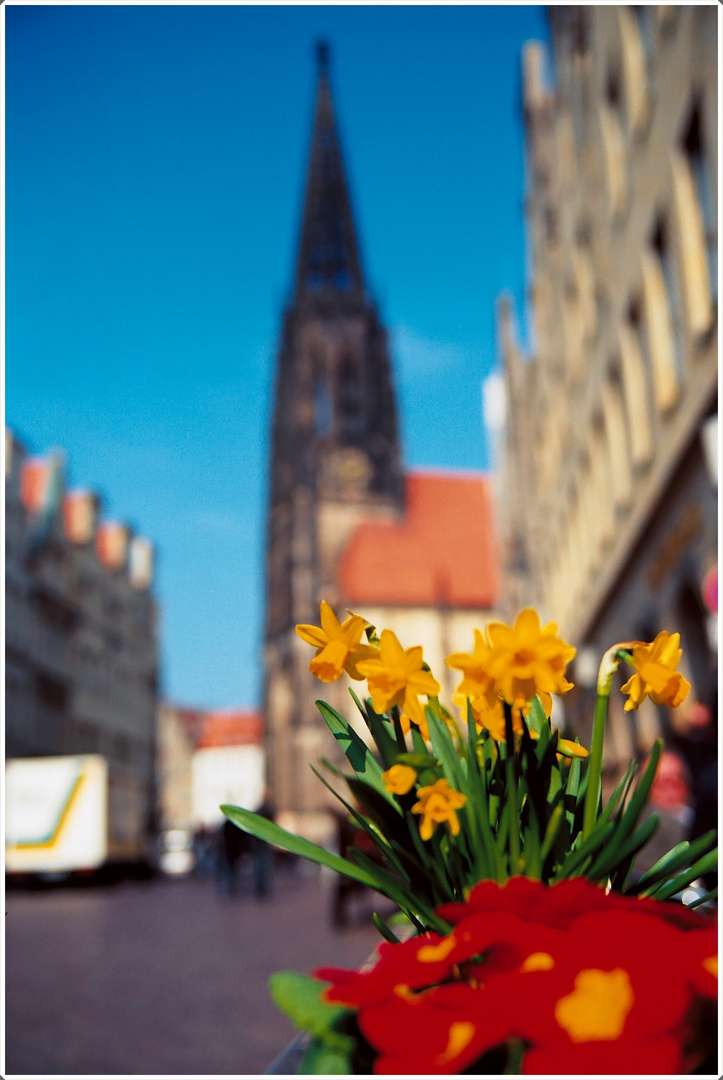 [Frühling in Münster 1]