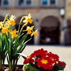 [Frühling in Münster 2]