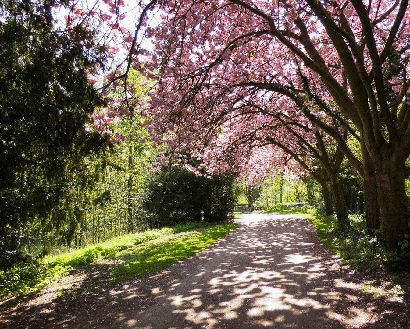 Frühling in Münster