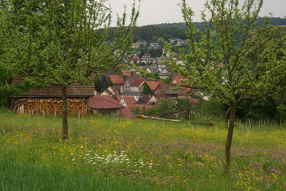 Frühling in Neckarburken