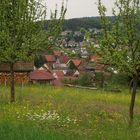 Frühling in Neckarburken