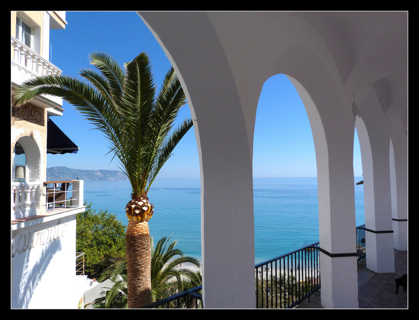 Frühling in Nerja...