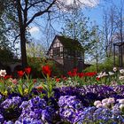 Frühling in Neubrandenburg