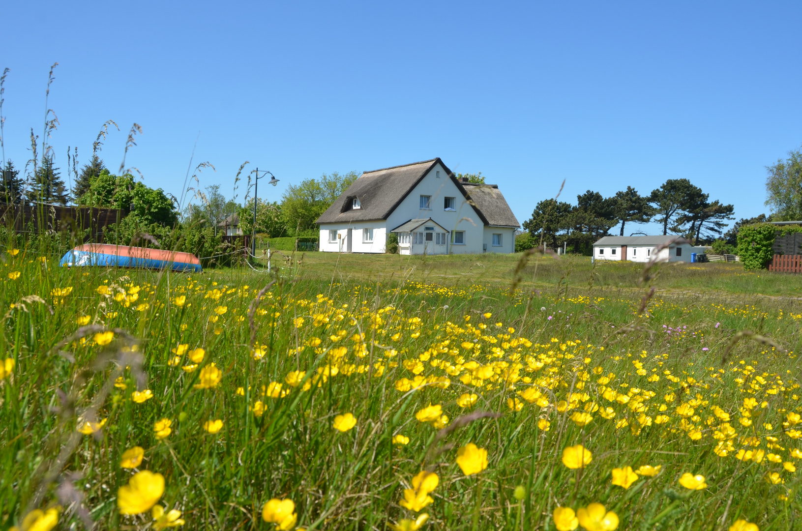 Frühling in Neuendorf