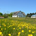 Frühling in Neuendorf