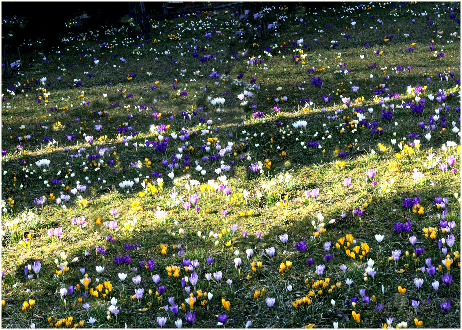 Frühling in Neugablonz