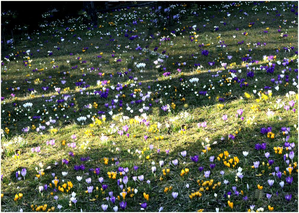 Frühling in Neugablonz