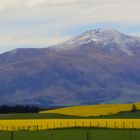 Frühling in Neuseeland