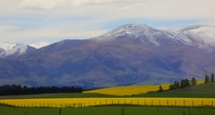 Frühling in Neuseeland