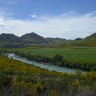 Frühling in Neuseeland!