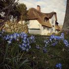 Frühling in Nieblum