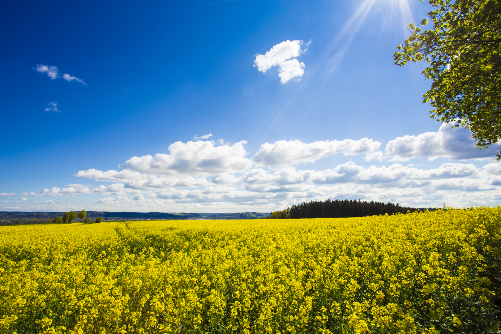 Frühling in Niederbayern