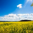 Frühling in Niederbayern