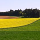 Frühling in Niederbayern