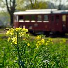 Frühling in Nordböhmen