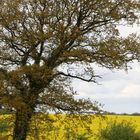 Frühling in Norddeutschland