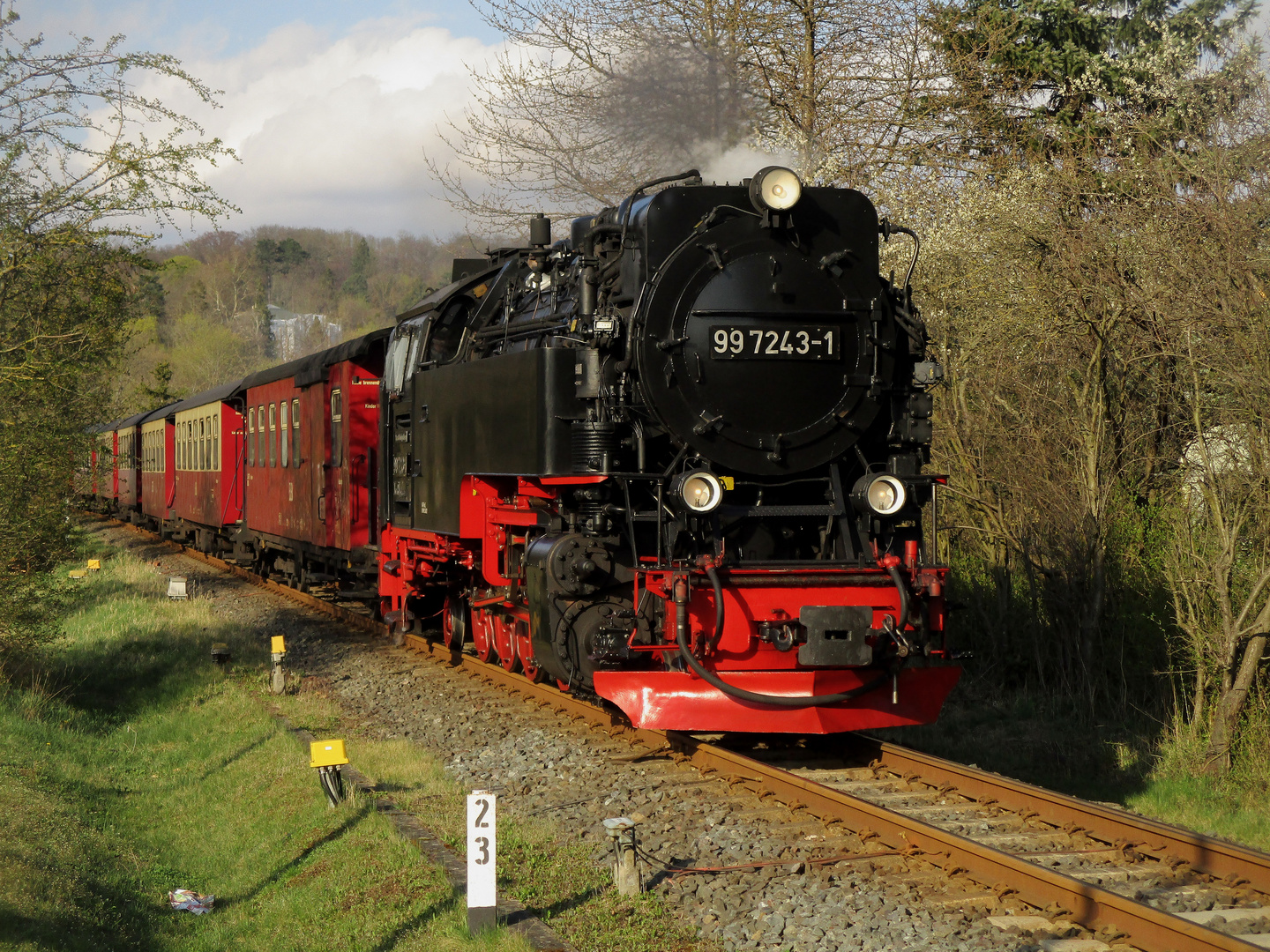 Frühling in Nordhausen Altentor.