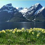 Frühling in Norwegen (1)