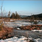 Frühling in Norwegen (3)