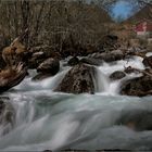 Frühling in Norwegen (5)