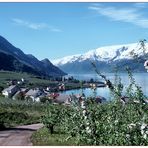 FRÜHLING IN NORWEGEN