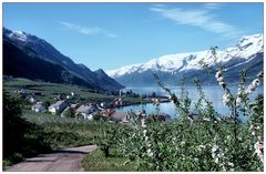 FRÜHLING IN NORWEGEN