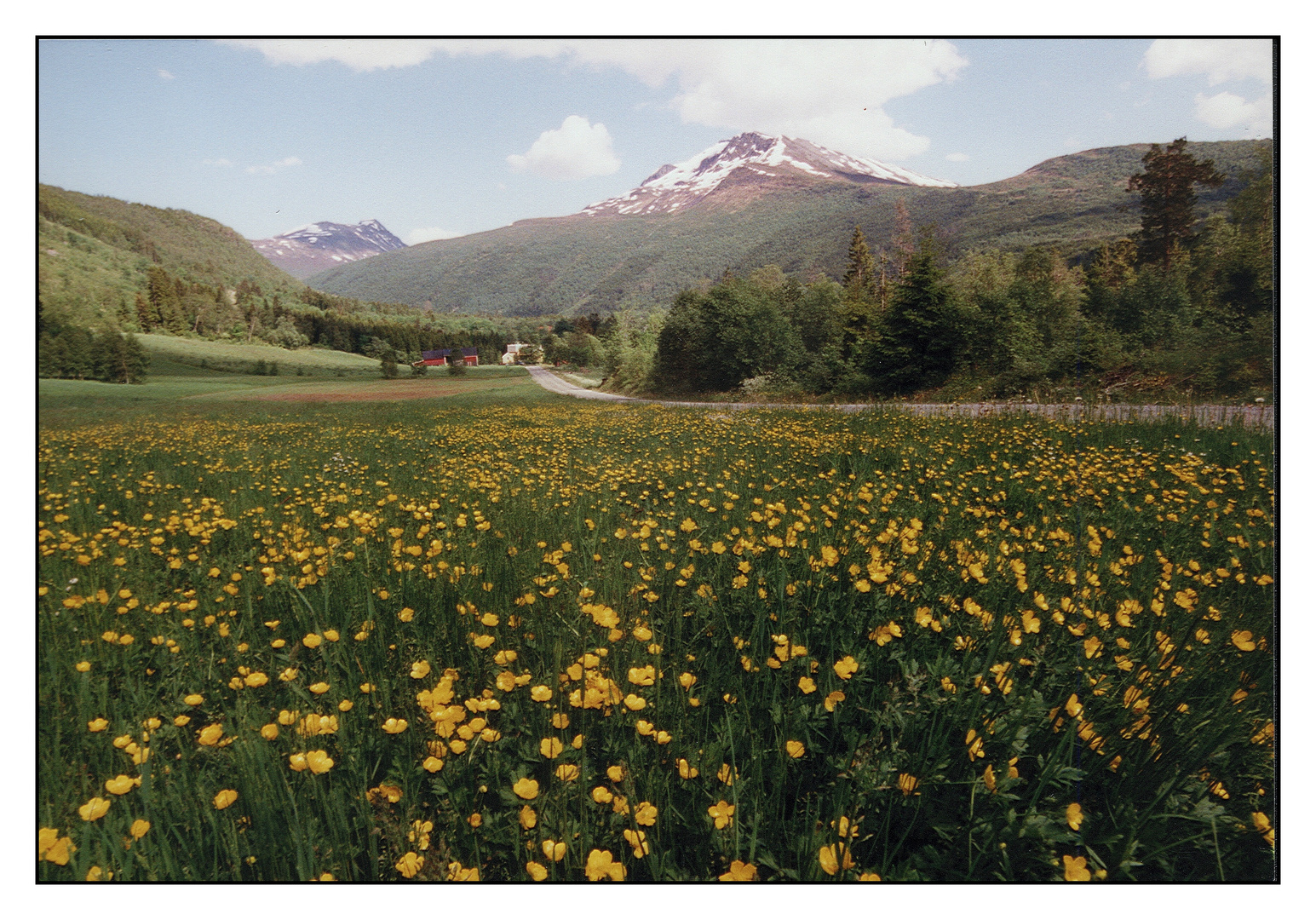 Frühling in Norwegen