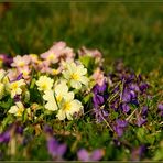 Frühling in Nursch