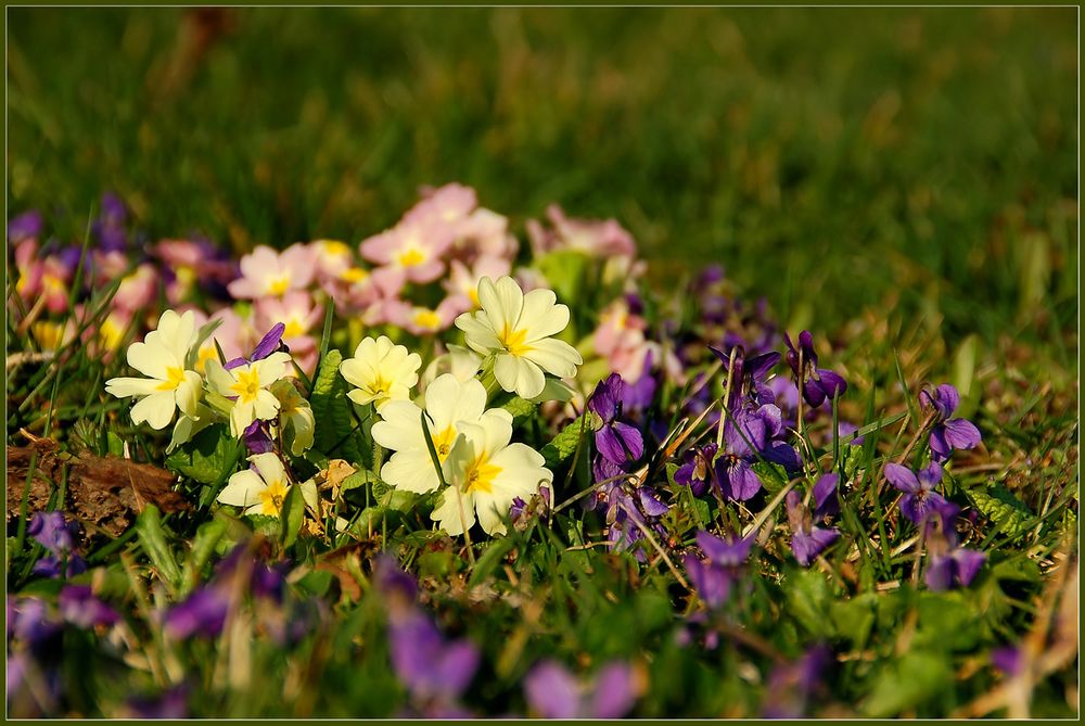 Frühling in Nursch