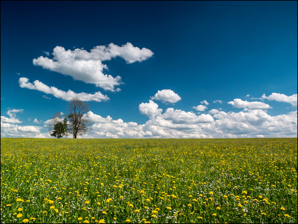 Frühling in Oberbayern