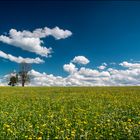 Frühling in Oberbayern