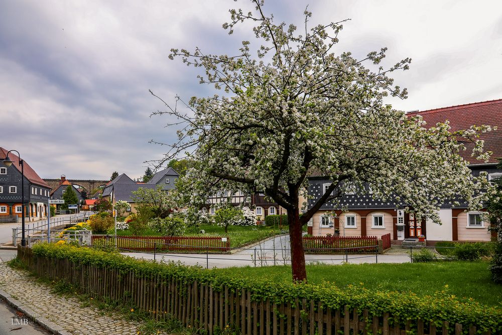 Frühling in Obercunnersdorf