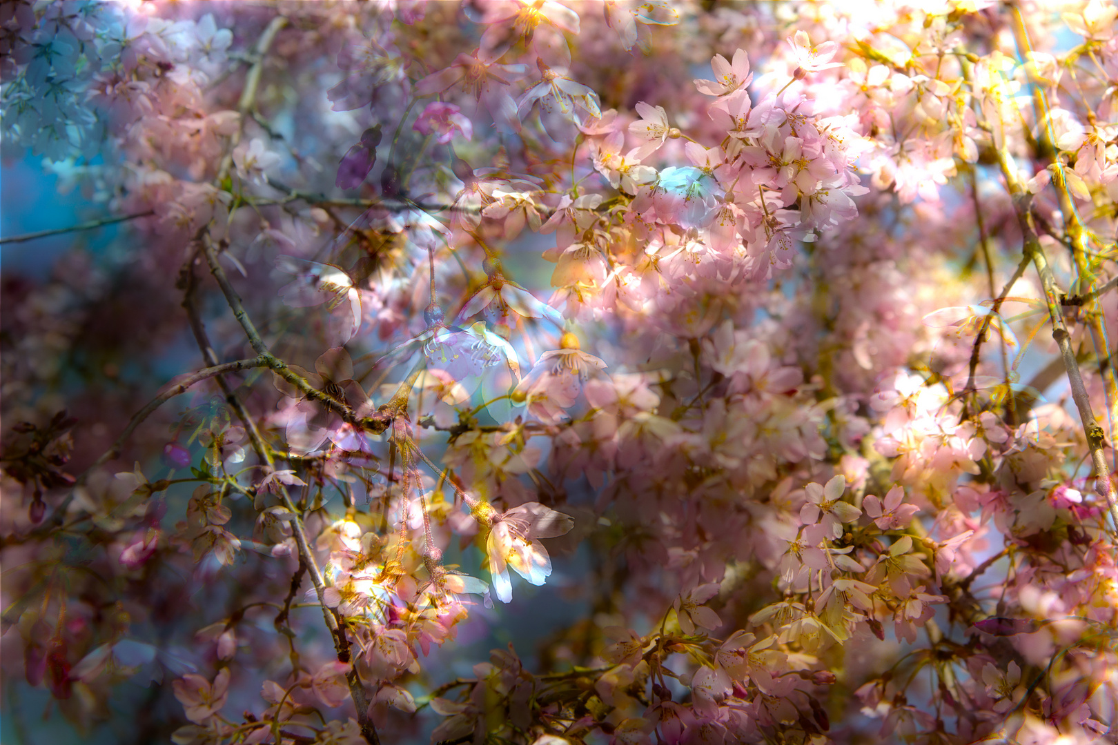 Frühling in Oberfranken