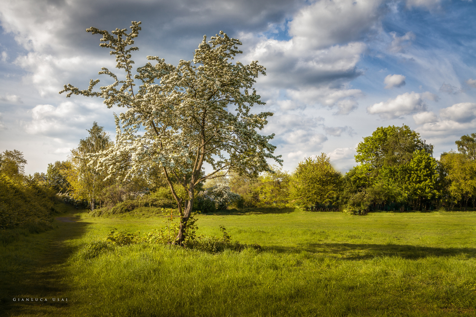 Frühling in Oberhausen