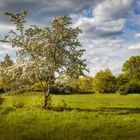 Frühling in Oberhausen