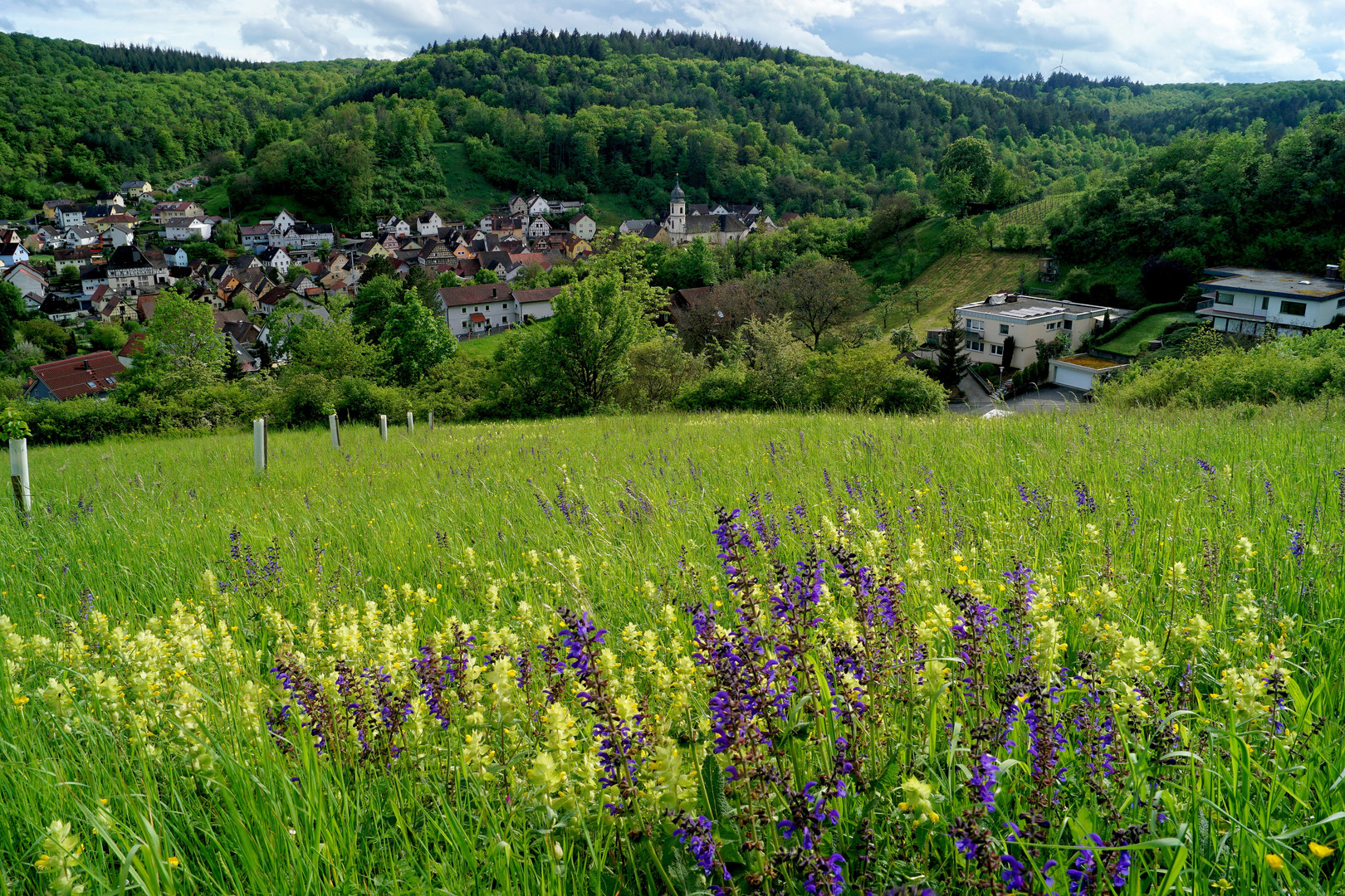 Frühling in Oberlauda.