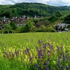 Frühling in Oberlauda.